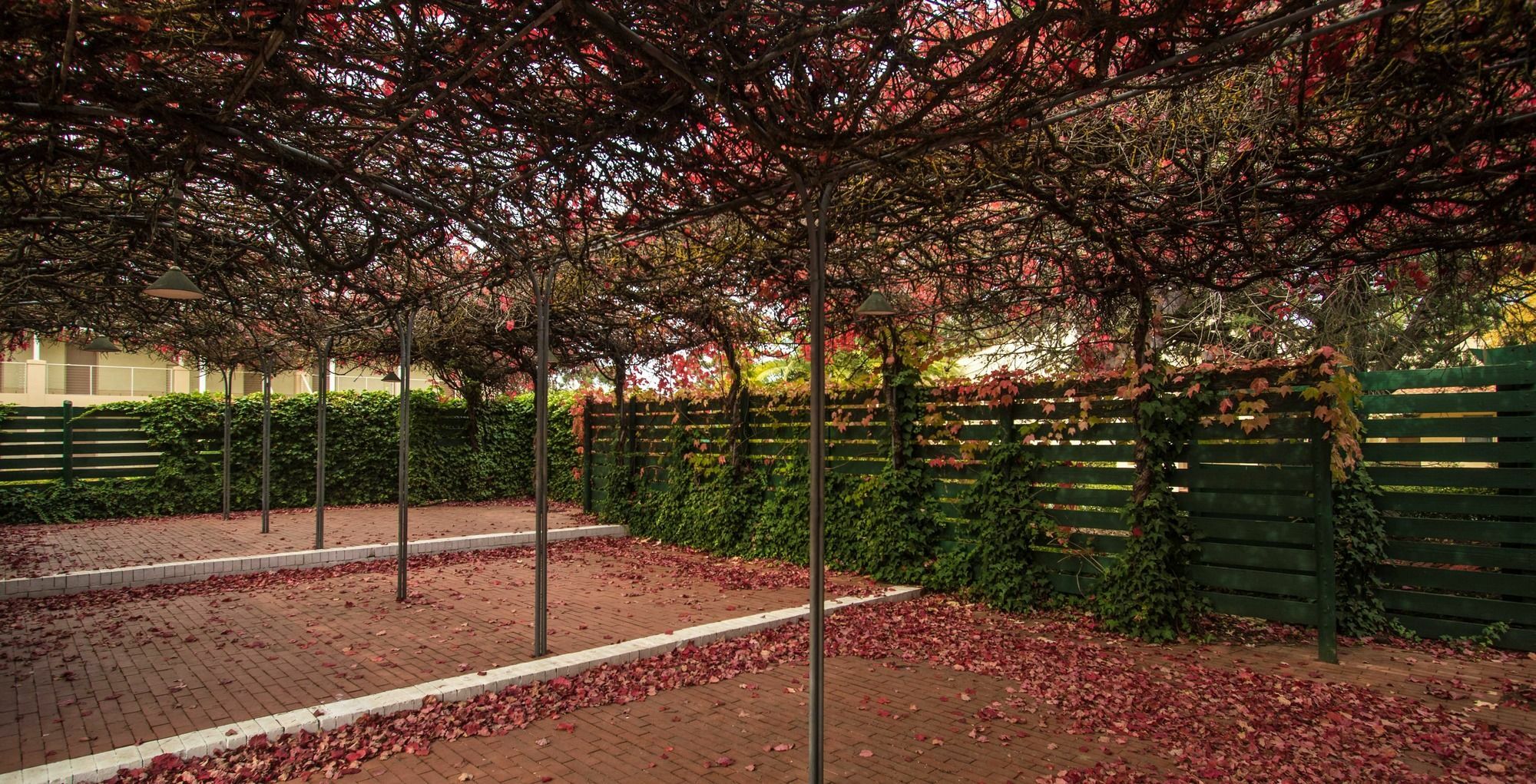 Barossa Weintal Hotel Tanunda Exterior photo